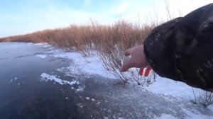 Смотри, она ВСЮ ЛЕСКУ РАЗМОТАЛА за МИНУТУ!! Рыбалка на ЖЕРЛИЦЫ по ПЕРВОМУ ЛЬДУ 2025!!
