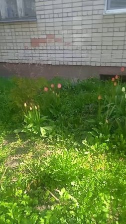 29-06-2025