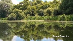 Жёсткий транец на весельной лодке