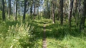 ВО ТАК ПОГУЛЯЛИ !