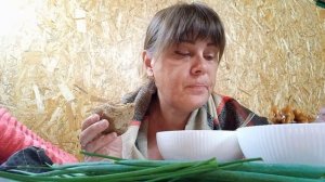 Больше так сажать не буду , кушать теперь не буду , мои ОРХИДЕИ Радуют