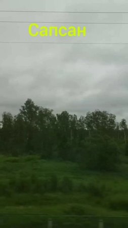 Сапсан