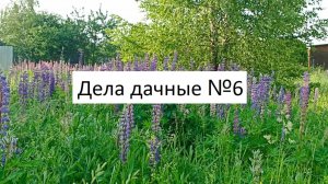 Дела дачные №6