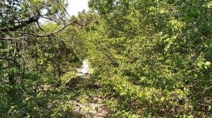 В 37°С жару на Чёрном море вышли погулять в горах в Большом Утрише