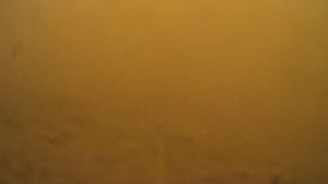 Закинул камеру под воду , а там 🦈#рыболовтроицк #рыбалка #Троицк #тинао #заречье #иванмотаж #фидер