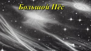 Большой Пес