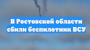 В Ростовской области сбили беспилотник ВСУ