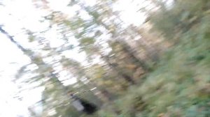 г. Златоуст. гора Косотур.