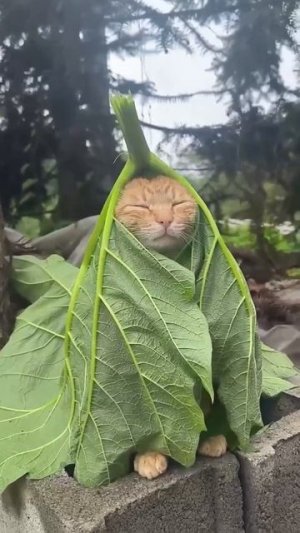 Скоро июль! Это точно.