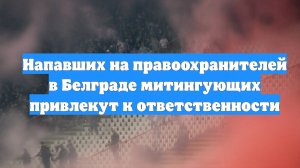 Напавших на правоохранителей в Белграде митингующих привлекут к ответственности
