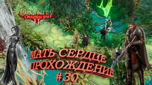 ПРОХОЖДЕНИЕ,МАТЬ СЕРДЦЕ►Divinity Original Sin 2►30