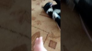 лагерь для спортсменов