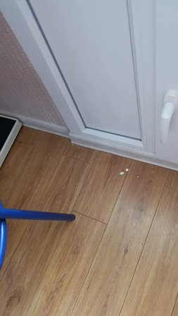 Барся ворует коллаген