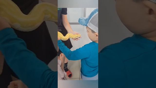 общение с животными