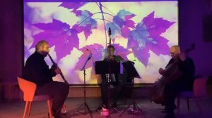 Трио «Ощущения» Trio Sensations Ж.Косма Joseph Kosma Осенние листья Autumn Leaves