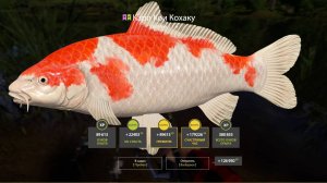 УСПЕШНАЯ РЫБАЛКА НА ЯМЕ И МЕДНОМ В РАЗНУЮ ПОГОДУ В РУССКОЙ РЫБАЛКЕ 4 РР4