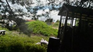 Мой японский сад