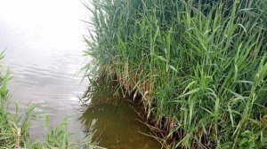 мормышинг в грозу!