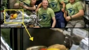 Что цирк, что Nasa - одна херня для ботов..