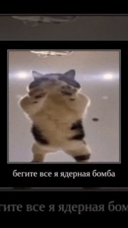 КЕЕЕЕЕЕЕЕЕЕЕЕЕЕЕК
