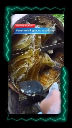 Мёд выжимают, как сок! Ты знал_