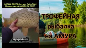 💪 ТРОФЕЙНАЯ рыбалка на АМУРА 2025 🐋
