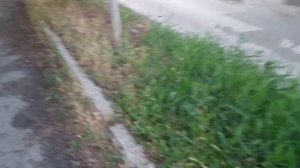 VID_20250629_201426.mp4 Пошёл в К*****-Б****
