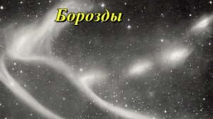 Борозды