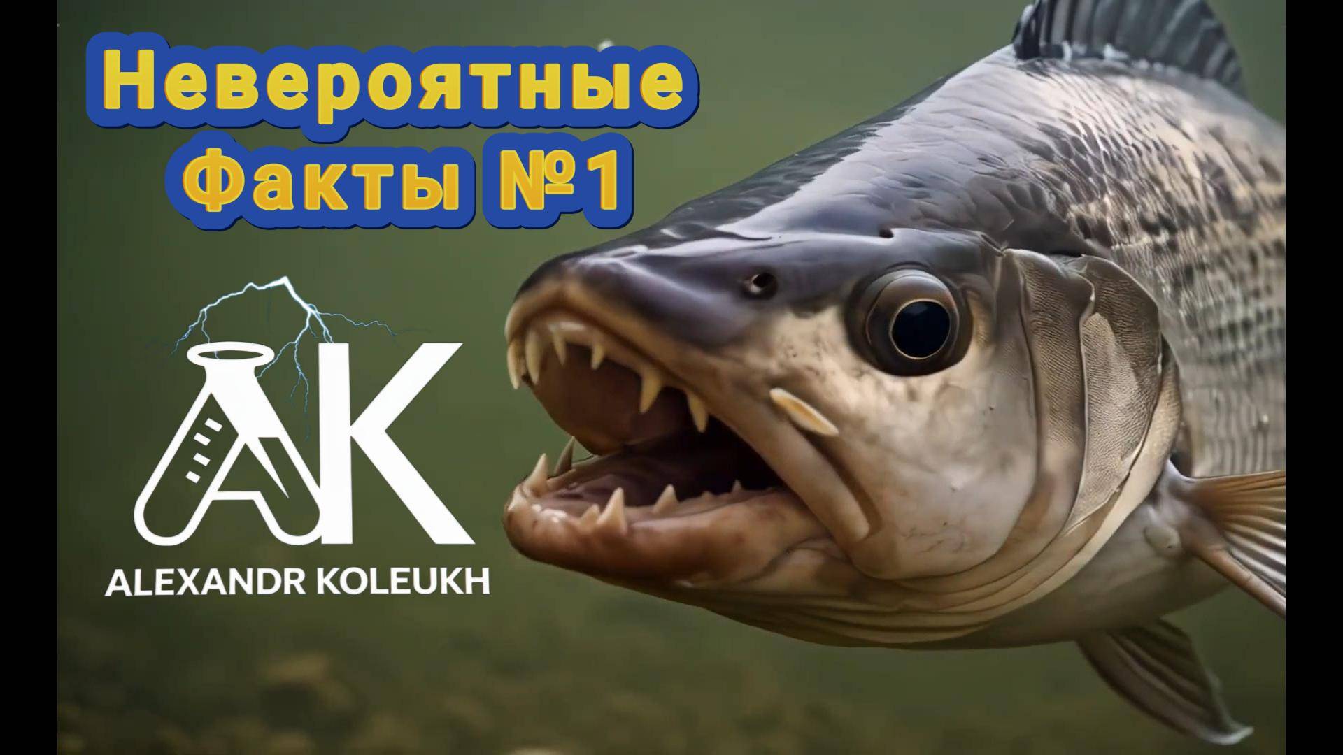 Невероятные факты №1