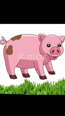 pigtwo8.mp4
