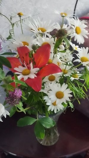 🌸🌺🌻🌹🌷🌼💐FLOWERS#ЦВЕТЫ