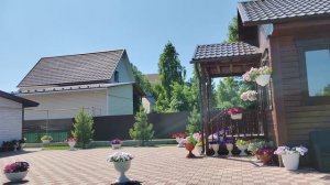 Грядка с чесноком ужасно заросла. Моя голубая Ель, посаженная семенами.