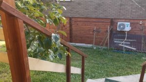 СОЧИ ГОРНОЕ ЛОО УТРО 29.06.2025