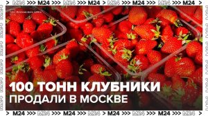 Более 100 тонн клубники продали на московских ярмарках выходного дня - Москва 24