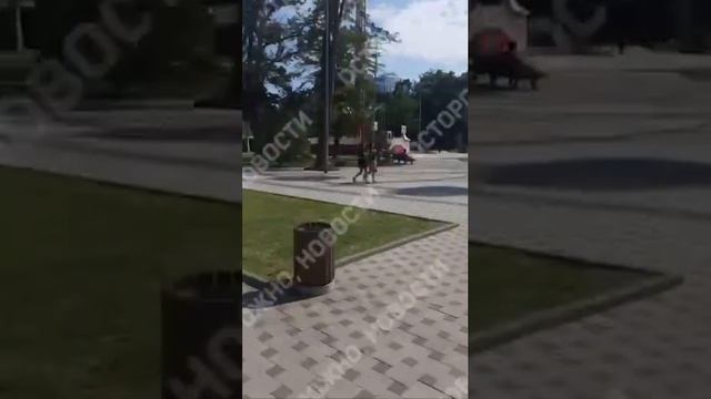 «Анапа умирает»: в курортном городе — катастрофическая безработица