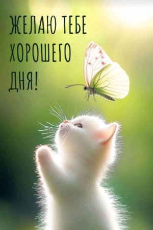 сильный дождь