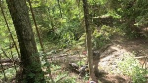 Вакханалия в Ильинском 2 Нечистая сила