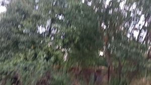 Погода в Краснодарском крае 28 июня 2025