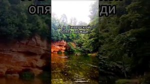 А в Сиверской опять дожди..., песня на стихи Александра Пашкова - Антропова
