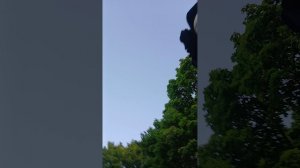 пытаюсь найти рыбока☺
