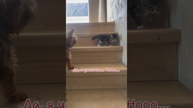 Учусь спускаться с лестницы