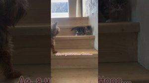 Учусь спускаться с лестницы