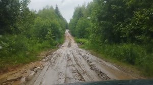 Лесной Патруль🌳🌳🌳