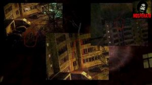 Палочник: Закрывайте на ночь окна. Страшные истории на ночь 🫣🫣🫣