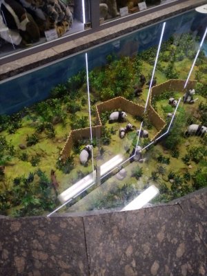 Распоковка