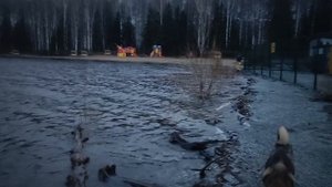 ТАКОГО ПРУДА У НАС ДАВНО НЕ БЫЛО.