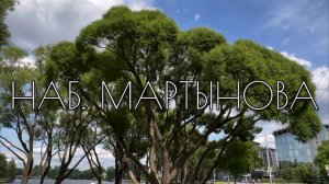 Наб. Мартынова