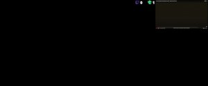 RL_Sinner_rus161