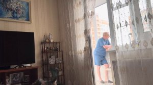 Михалыч в шоке от АЛЫХ ПАРУСОВ и телевидения… #мамаотличника #алыепаруса