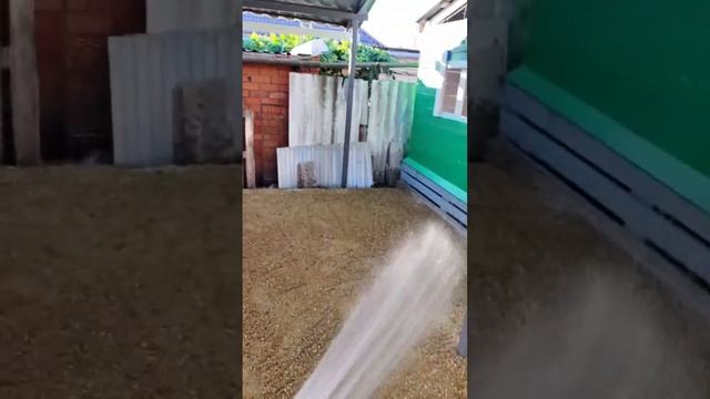 🏡Проливаем водой для лучшей усадки.Благоустройство двора. Кладём плитку. Переезд на Юг. Саликовы 🌴
